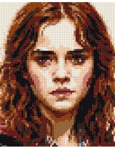 Hermione Granger - HARRY POTTER