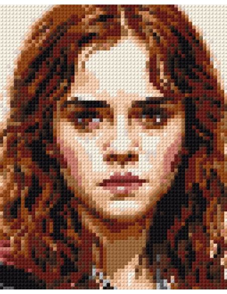 Hermione Granger - HARRY POTTER