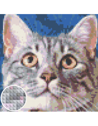 Create your custom mosaic artwork from your photo LEGO® compatible bricks