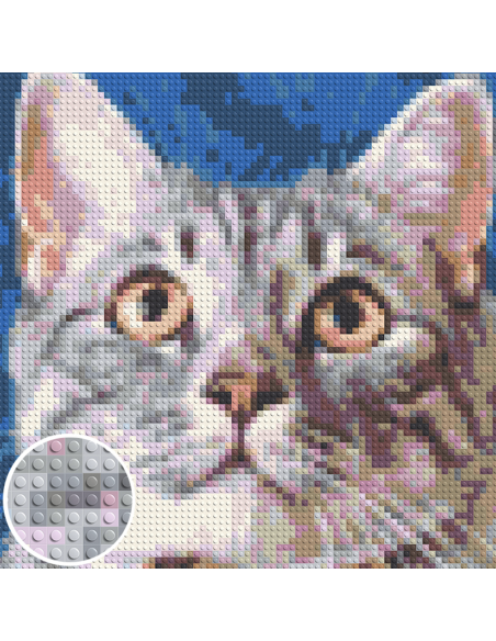Create your custom mosaic artwork from your photo LEGO® compatible bricks