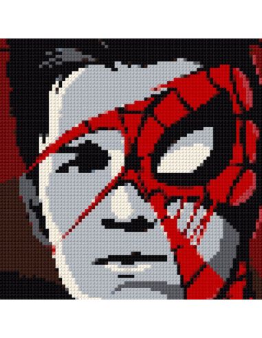 Peter Parker MARVEL | Tableau en Briques Pixel Art