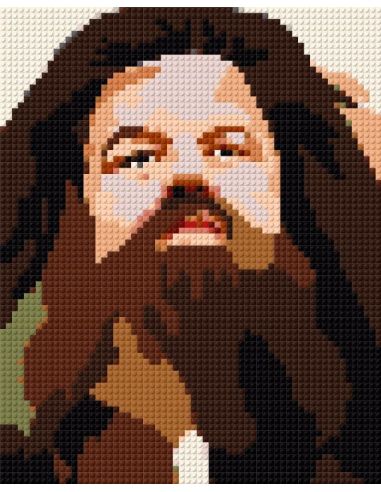 Rubeus Hagrid - HARRY POTTER