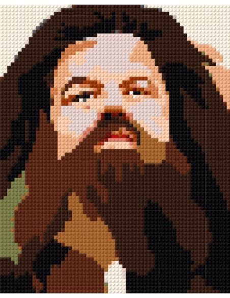 Rubeus Hagrid - HARRY POTTER